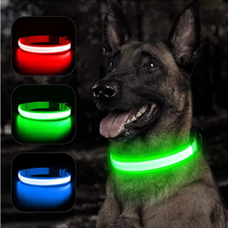 Collar with LED for Dogs - 60 Off Store