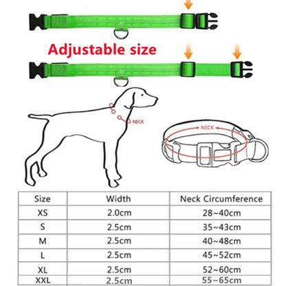 Collar with LED for Dogs - 60 Off Store