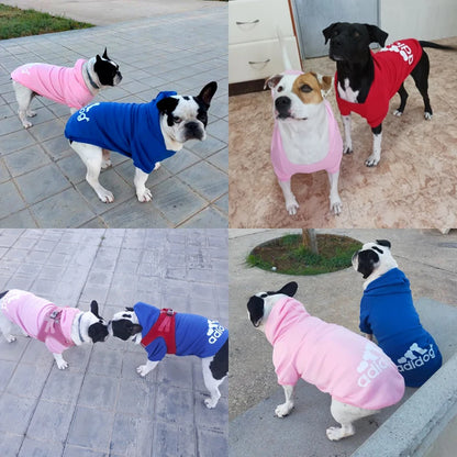 Dog Jacket - 60 Off Store