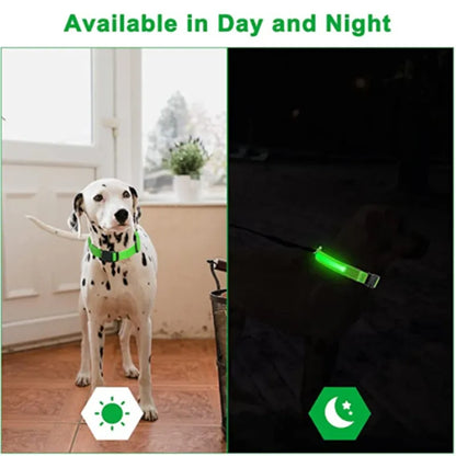 Collar with LED for Dogs - 60 Off Store